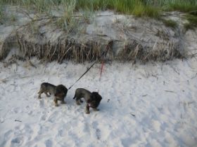 am strand.jpg